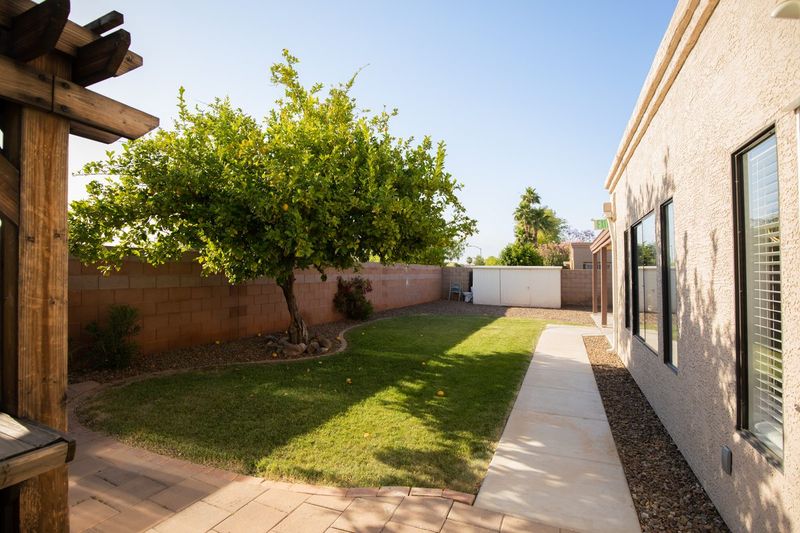 Backyard lawn running along the house, with a shade tree and block wall